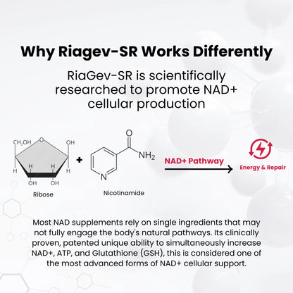 Explanation of RiaGev-SR's mechanism for NAD+ cellular production with chemical structures and text .