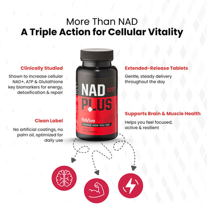 NAD Plus supplement bottle with features highlighted 